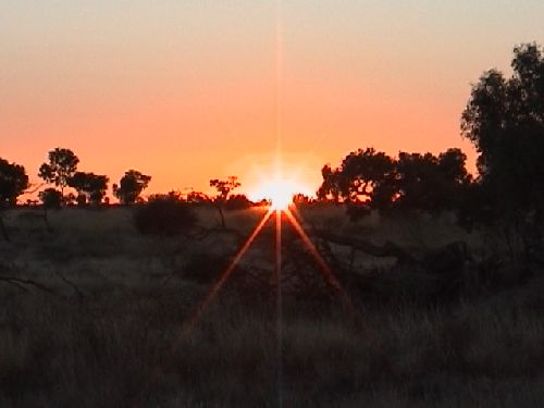 sunraise03
