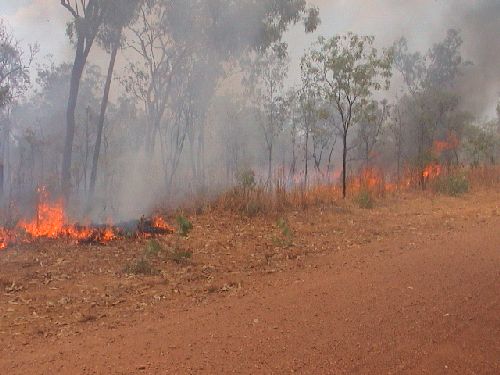 bushfire01