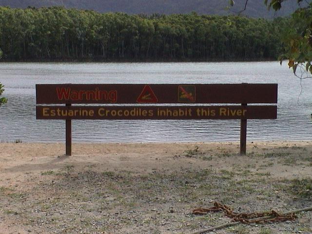 daintree2